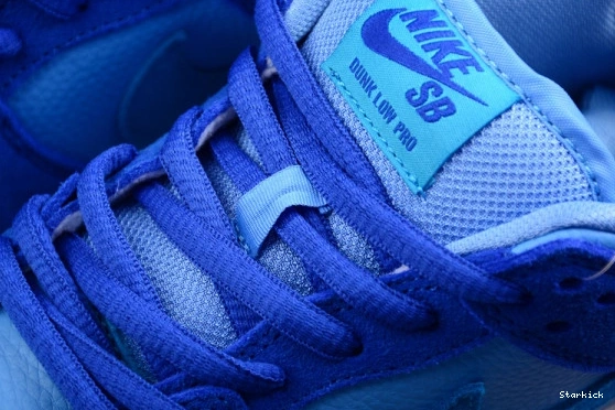 DM0807-400 SB Raspberry Low Blue Nike Dunk 0816